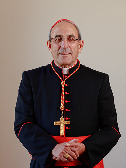 Cardeal António Marto